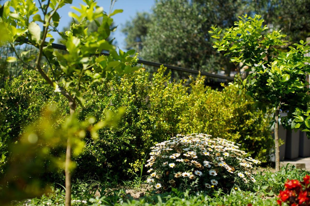 Casa Del Saraceno Villa Massa Lubrense Buitenkant foto